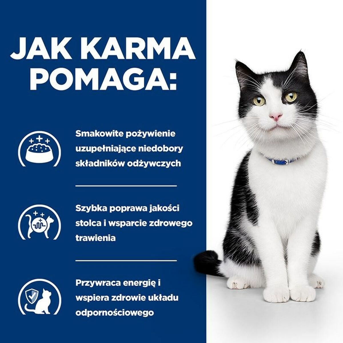 Comida para gato Hill's PD I/D Digestive Care Frango 3 Kg